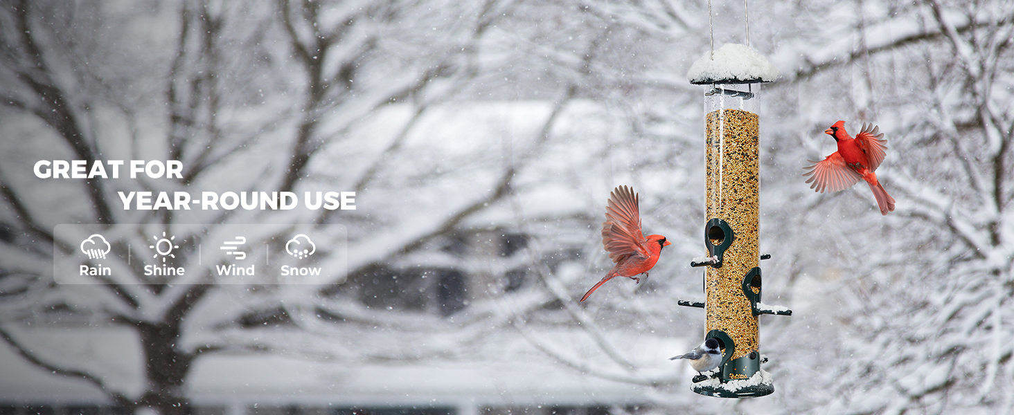 finch bird feeder