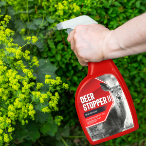 Deer stopper 2 liquid product in use