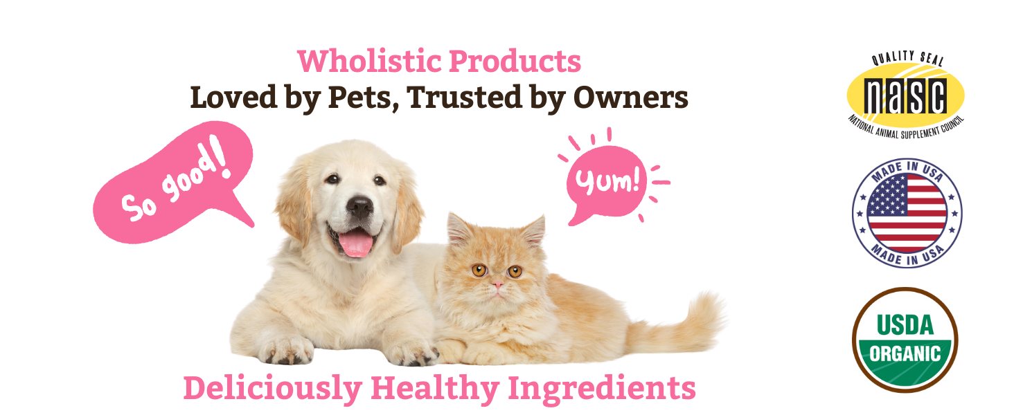 No Artificial Flavors or GMOs
