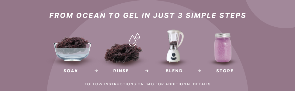 Puple Sea Moss Wildcrafted