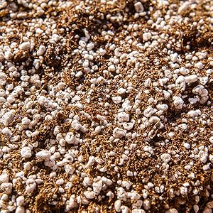 Organic carnivorous potting soil mix Perfect Plants Nursery low nutrient high water retention