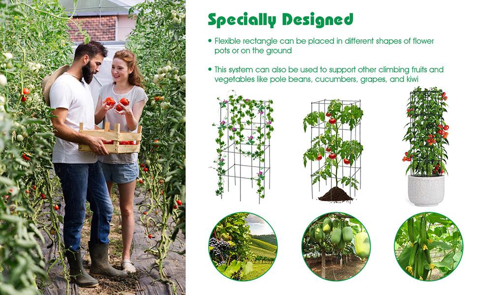 tomato cage
