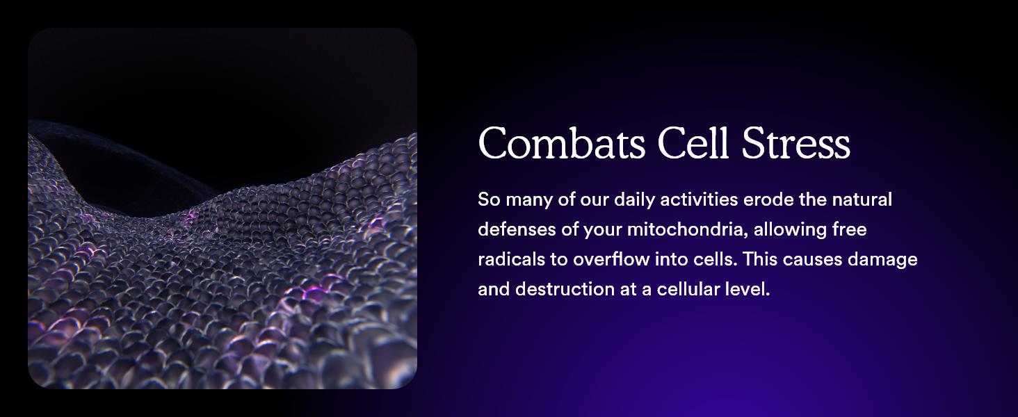 Everyday activities erode the mitochondria&amp;#39;s defenses.