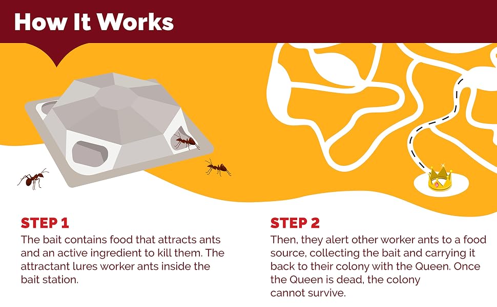 How To, Ant Bait Stations