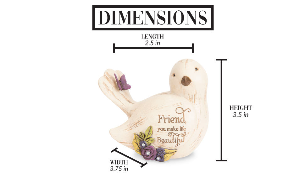 Dimensions