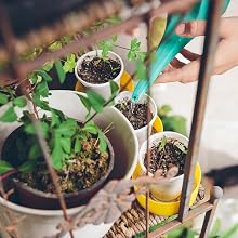 Minute soil is perfect for the urban gardener