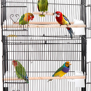 3 Wood Perches are included for birds to sit on and play.