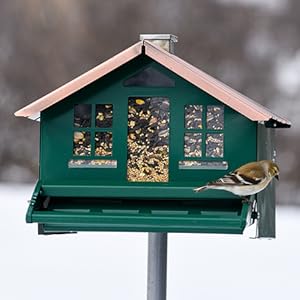 squirrel-be-gone bird feeder all metal