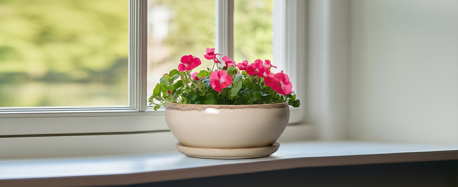 ceramic flower pots