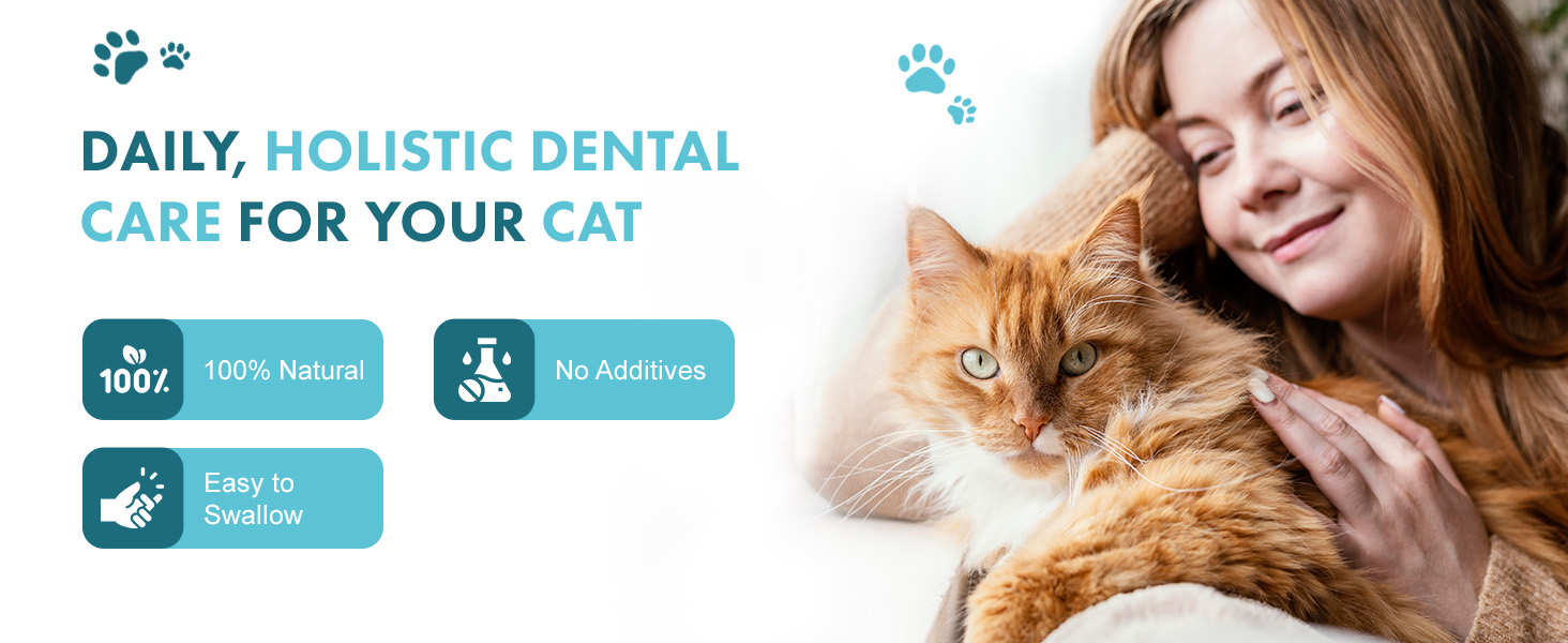 Cat Dental Health Oral Health For Cats Best Life 4 Pets Bad Breath Pills Fresh Breathe Pills for cat