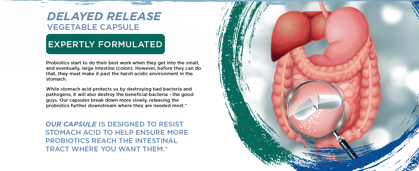 Lactobacillus reuteri and rhamnosus ultraflora ultimate flora 50 billion probiotics for men