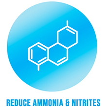 nite-out II ammonia