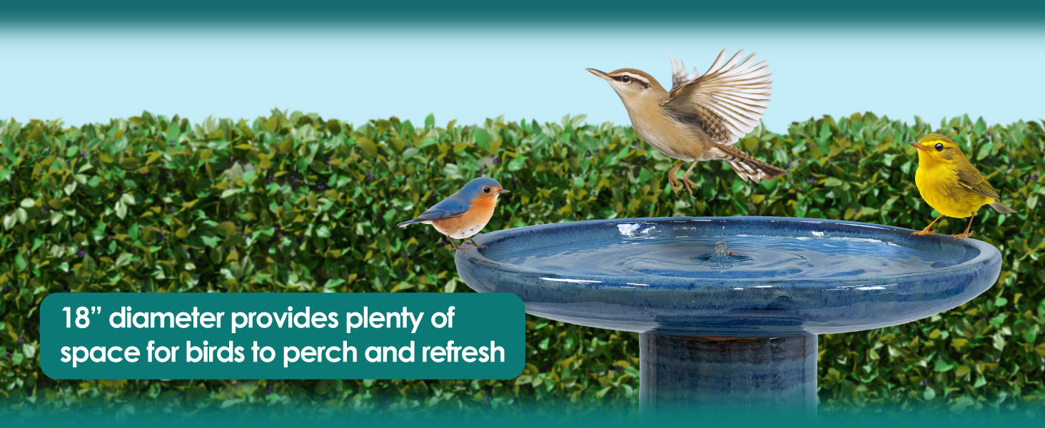 18" diameter provides plenty of space for birds to perch and refresh