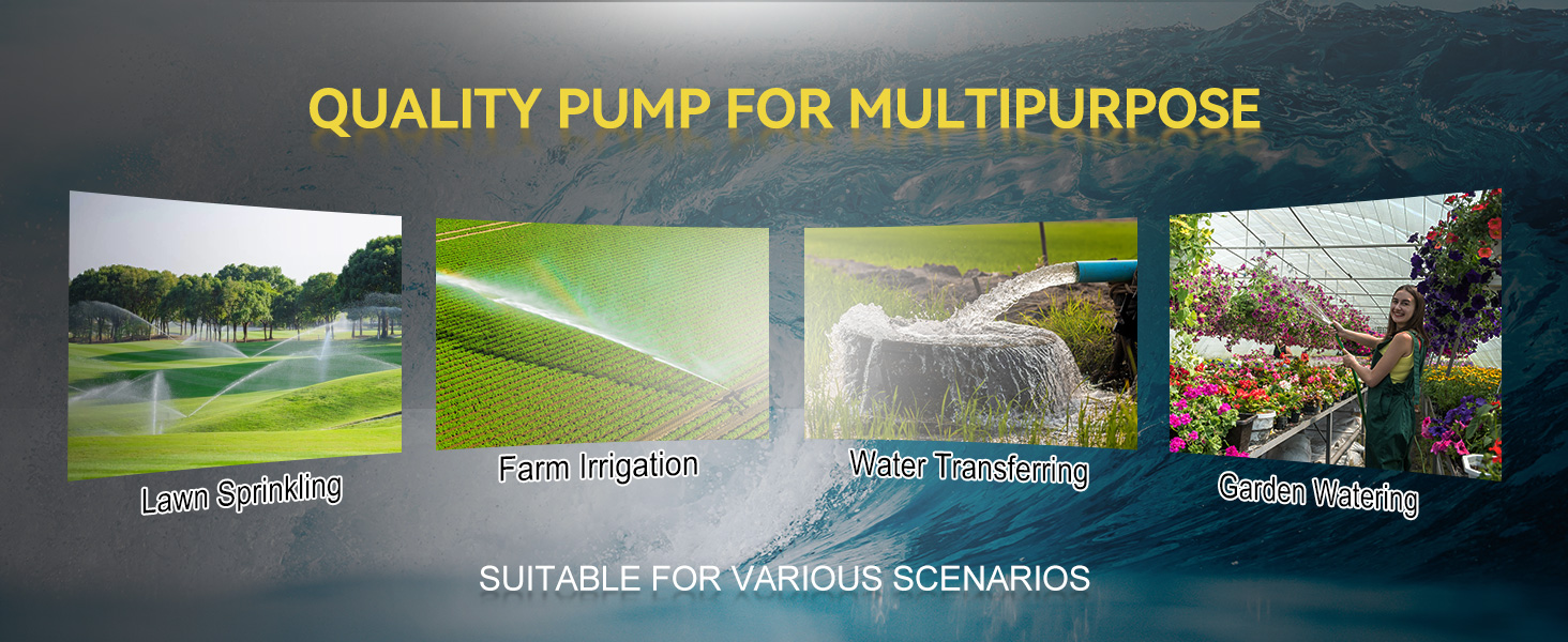 water transfer pump