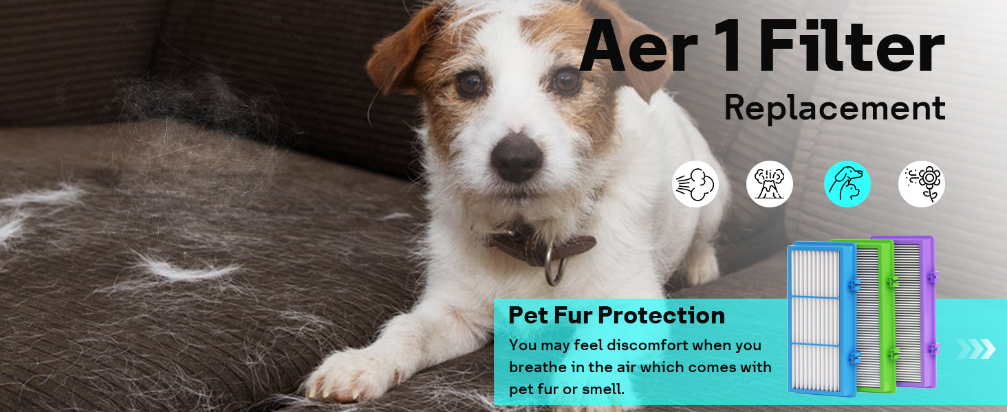 Aer1 Filter Replacement for Holmes
