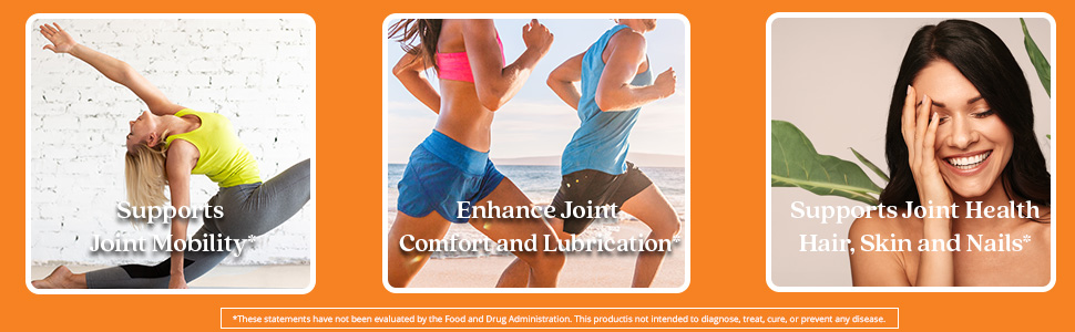 glucosamine chondroitin and msm