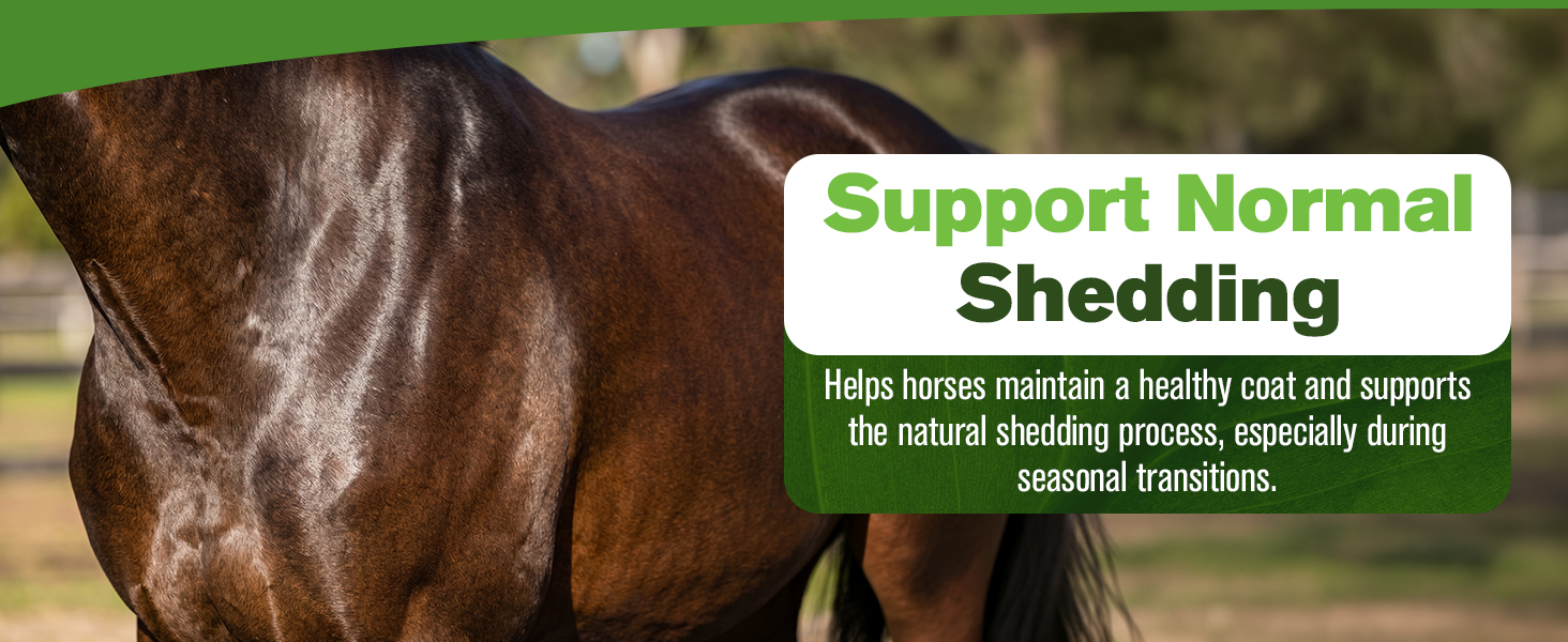 Silver Lining Herbs Pituitary Support for Horses Herbal Equine Shedding Supplement
