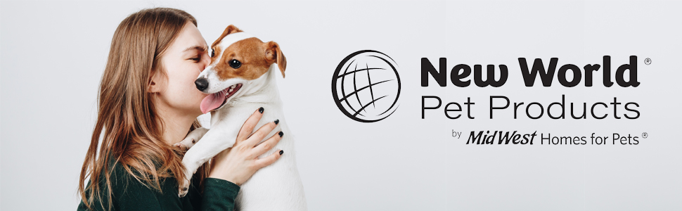 New World Header