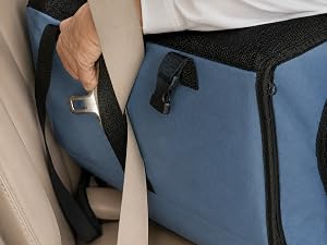 Step 1: Clip in Seatbelt