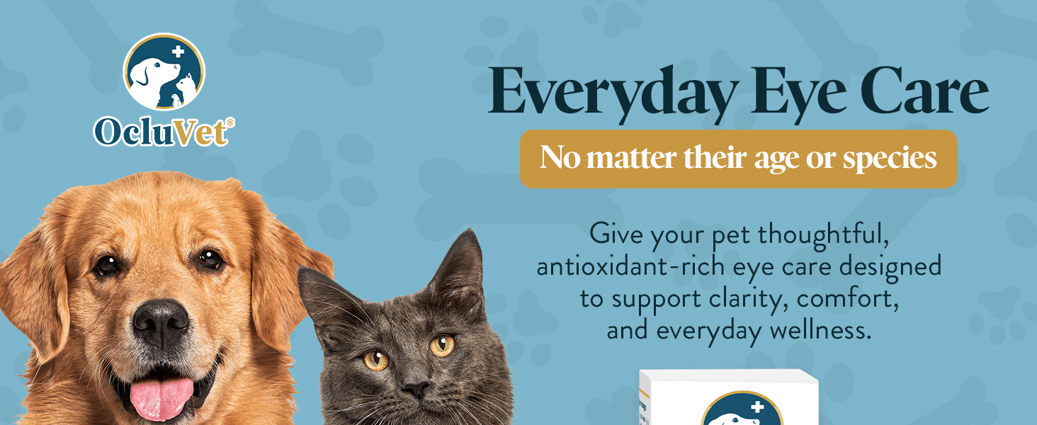 Everyday Eye Care