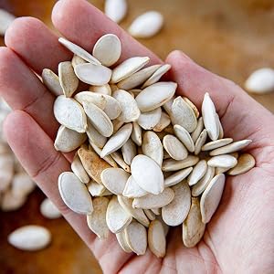 pumpkin seeds