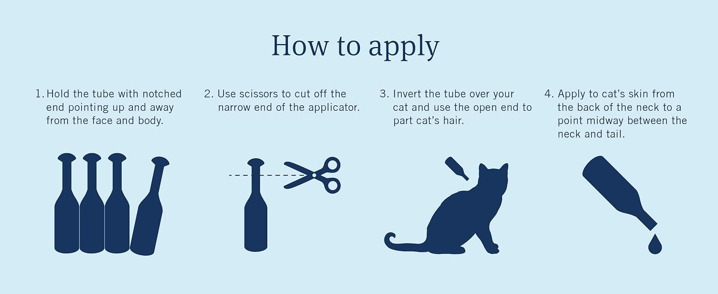 how to apply