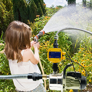 TDRRICH lawn sprinkler pump