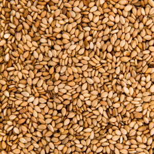 sesame image