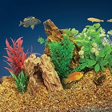 An array of multicolored fish swimming inside an aquarium with pebbles rocks and green plants
