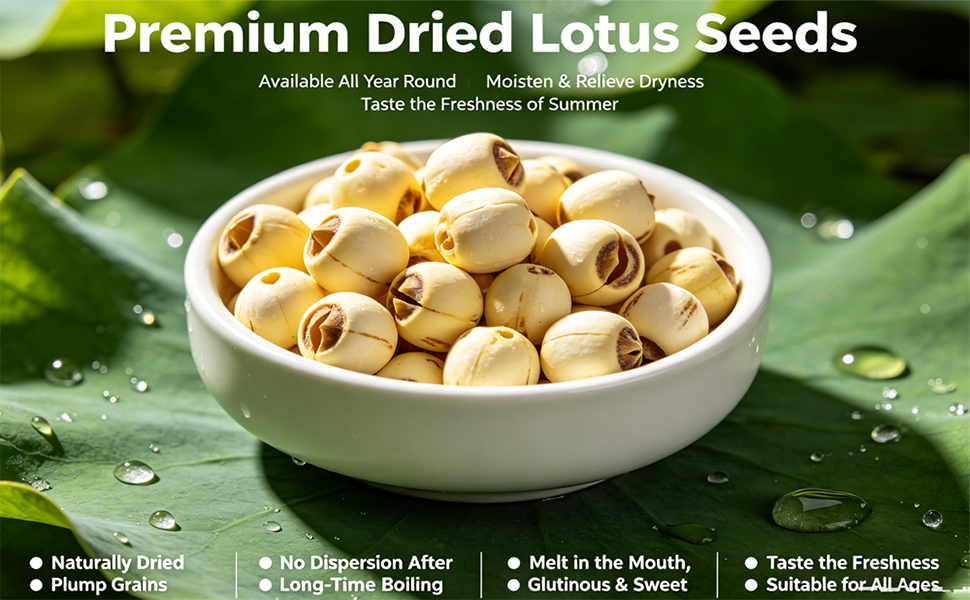 Dried Lotus Seeds, Dried White Lotus Seeds Lian ZI, Rich In Methionine