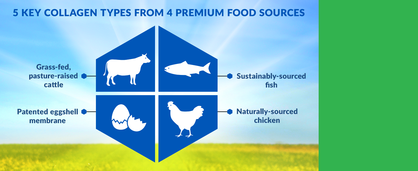5 collagen types from 4 premium food sources