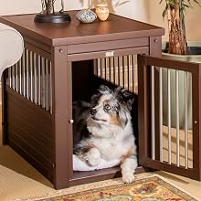 Medium Dog in Medium Crate