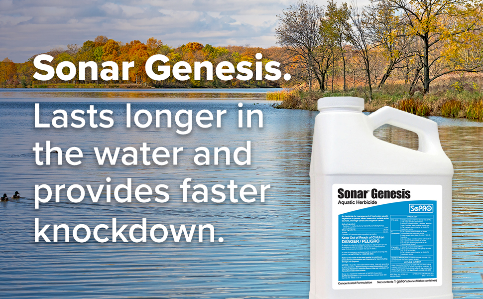 Sonar Genesis overlaying pond