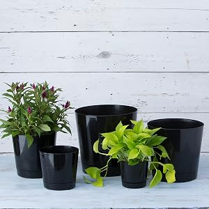 All 5 sizes of the black majestic full depth cylinder pot line