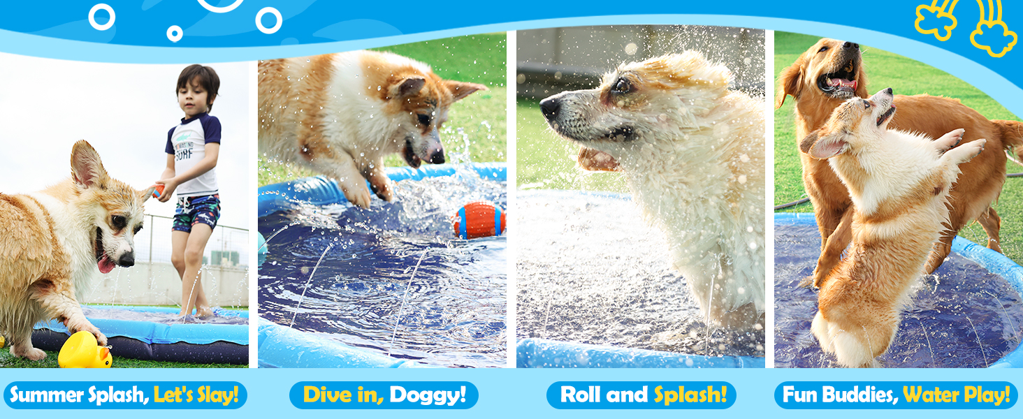 Dogs and kids in the blue water, and the dog swimming pool turns into a summer paradise.