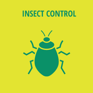 Insect Control