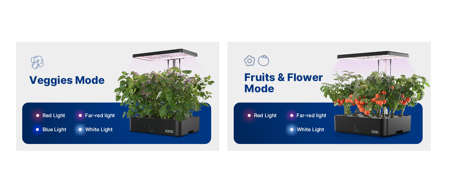 indoor garden