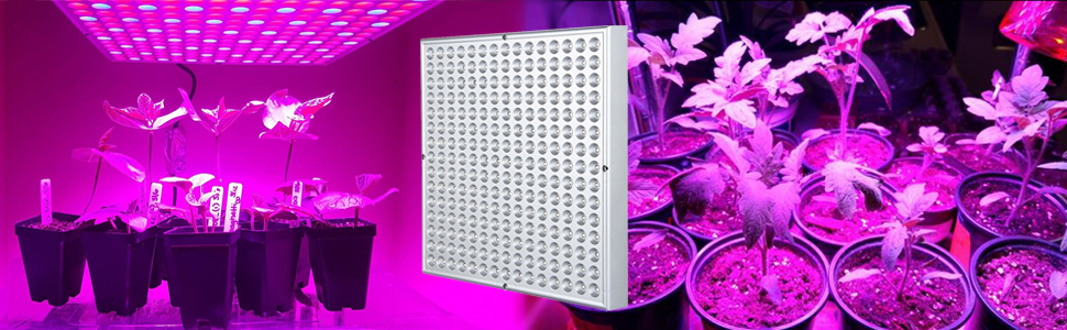 LED Grow Light 45W Plant Lights Bulb Red Blue Growing Lamps for Indoor Plants Hydroponics Seedling