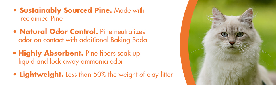Sustainably Sources Pine, Natural Odor Control, Highly Absorbent, Lightweight
