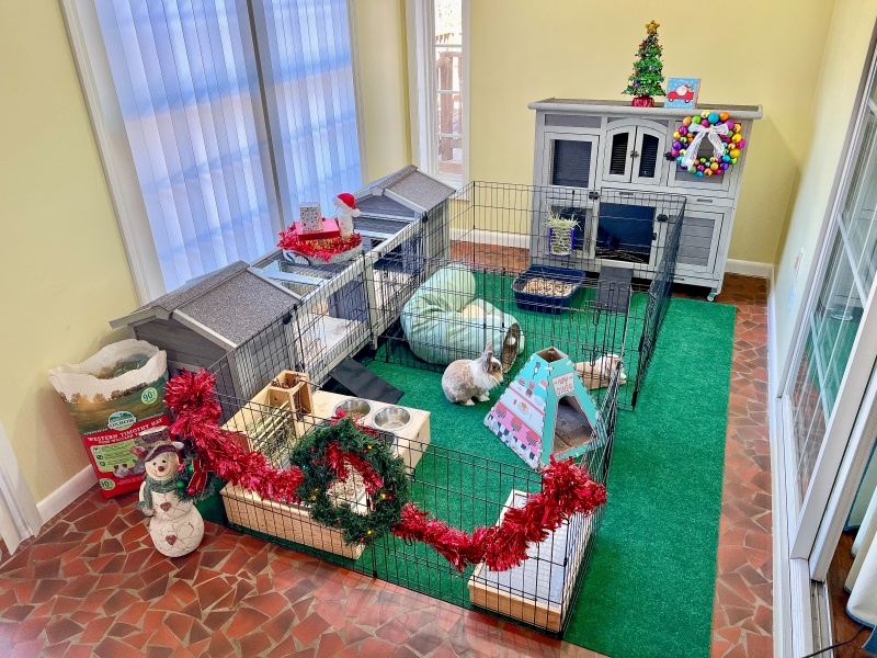 Rabbit Playpen
