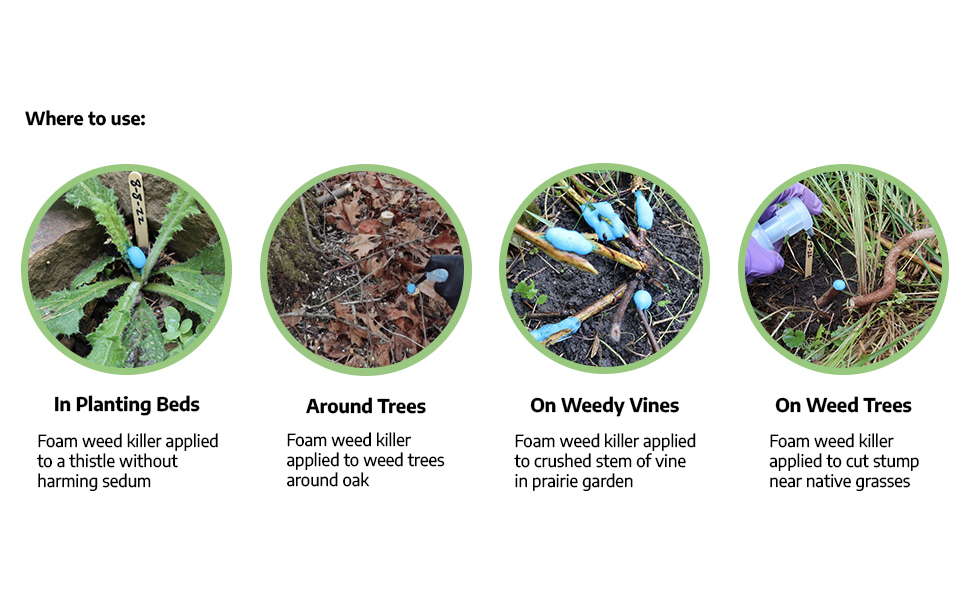 Use Green Shoots in planting beds, around trees, on weedy vines, and on weed trees