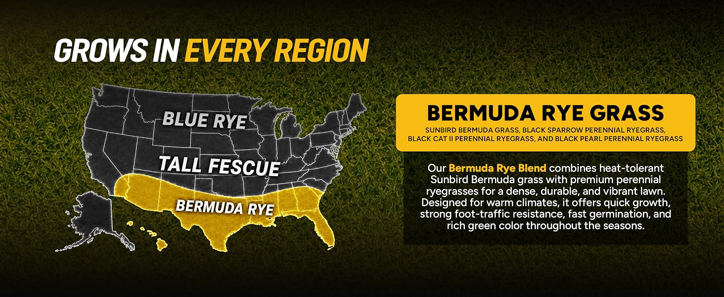 Bermuda Rye