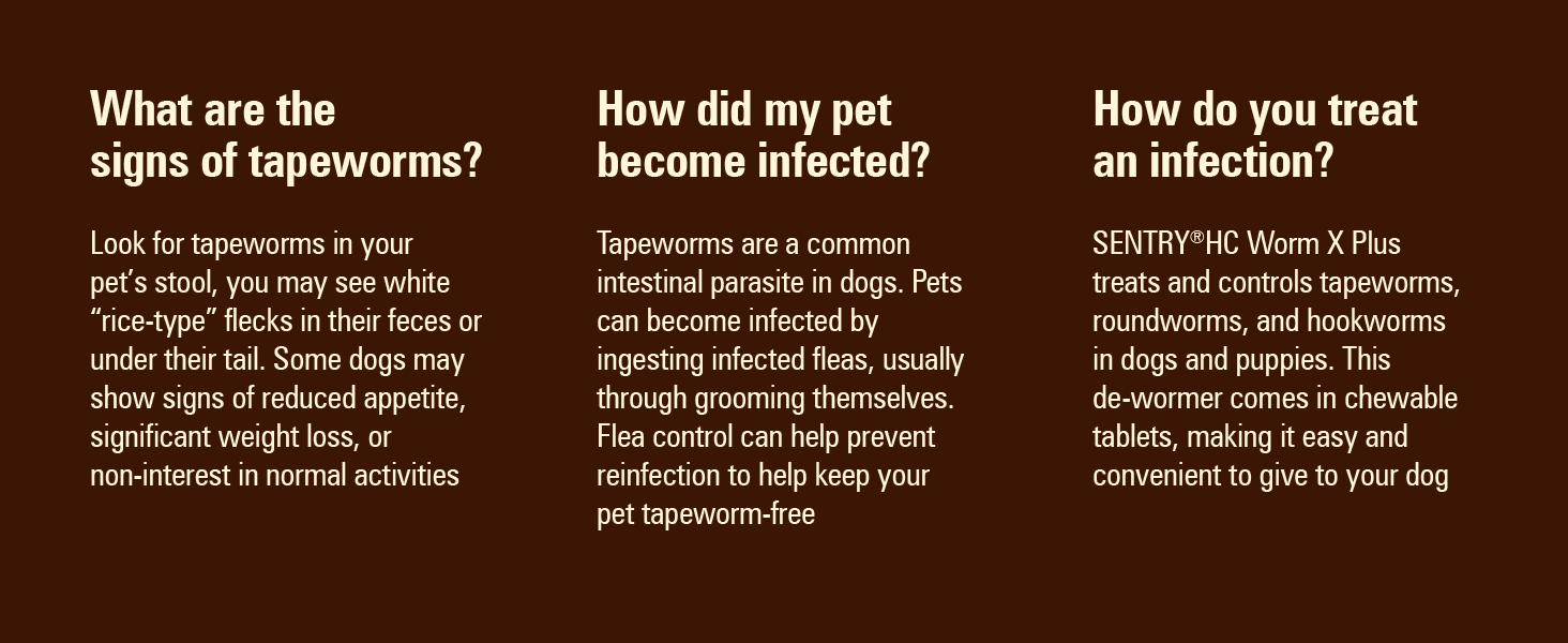 treat tapeworm infections for dogs