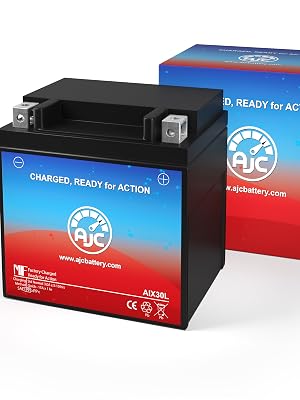 AJC Powersports Battery