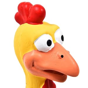 dog squeaky chicken rubber toy