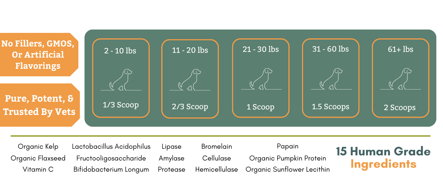 Dog vitamins and supplements