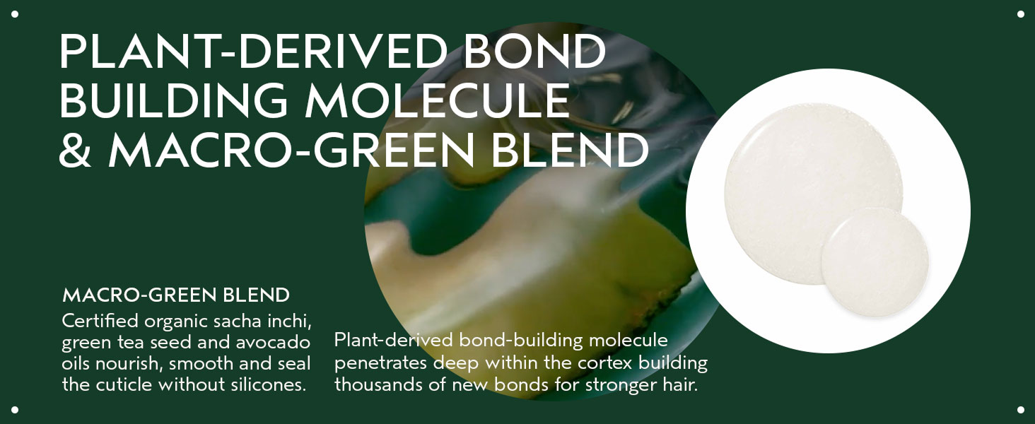 Botanical Repair Strengthening Shampoo