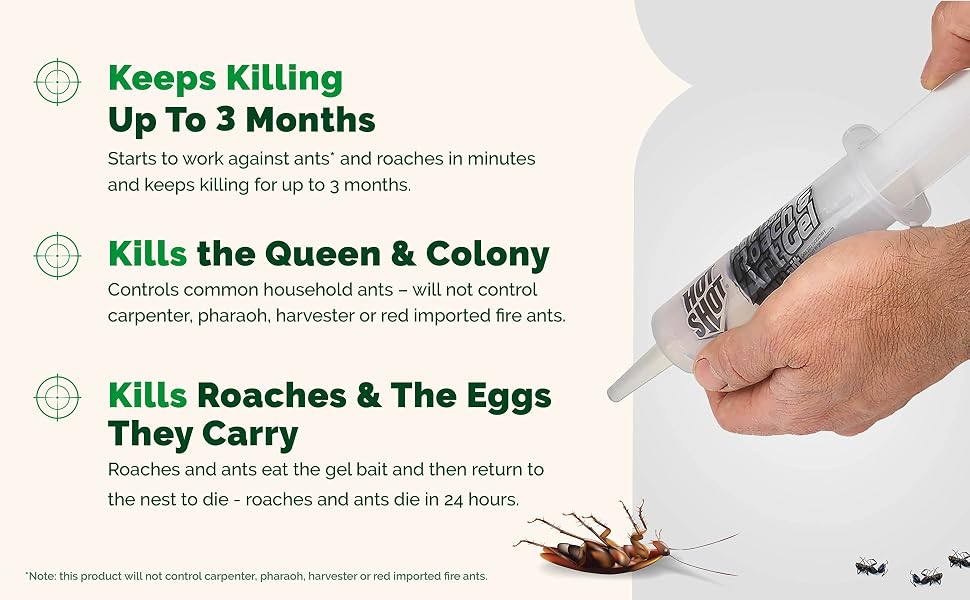 gnat traps house indoor roach ant killer cockroach home fly bait raid terro outdoor liquid pest