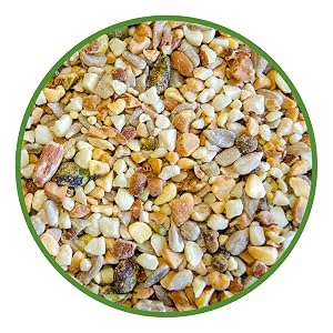 lyric, bird seed, no mess bird seed, no waste birdseed, bird food, lyric bird seed, wild bird seed