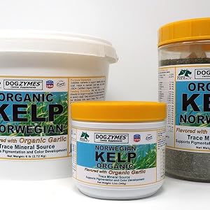 kelp with garlic